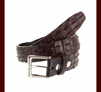 Hornback Crocodile Belt