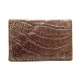 Crocodile Card Folder Wild Grade